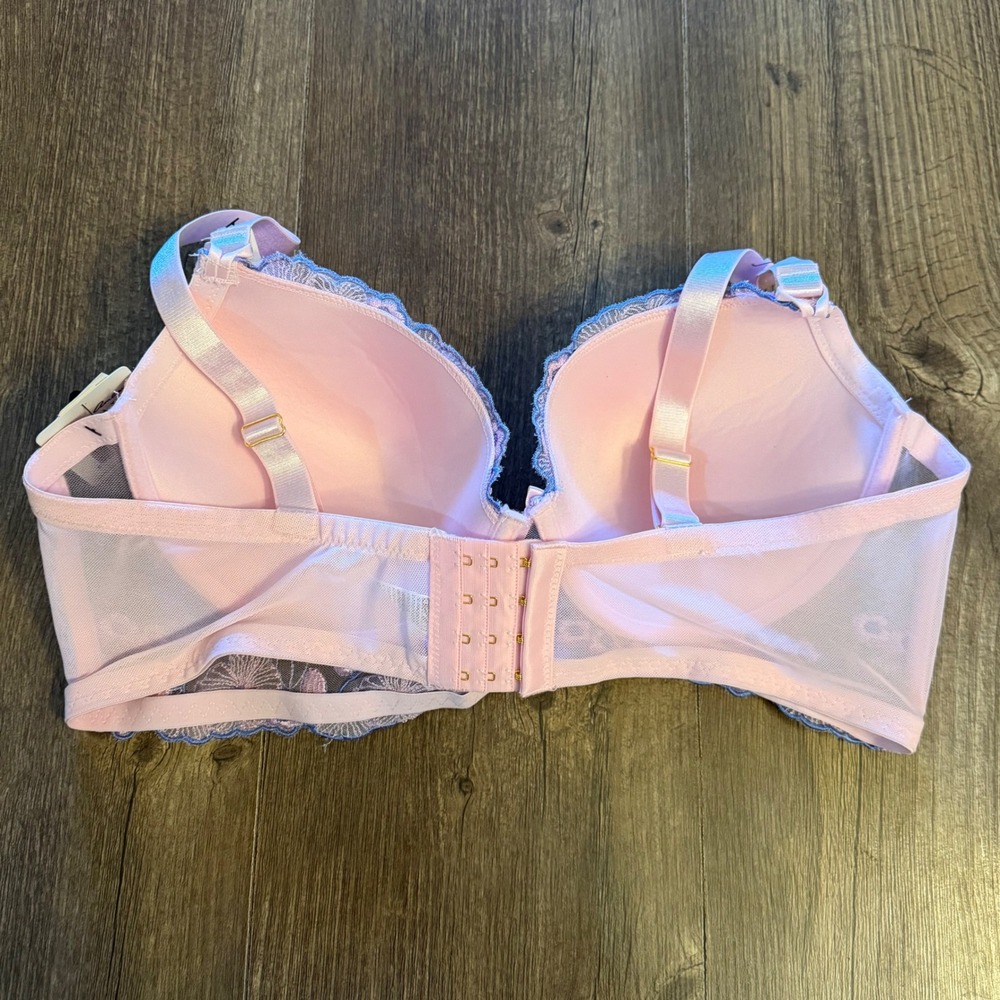 Carrie Amber Intimates Pink Blue Floral Embroidered Bra Coquette Victorian 38D - Picture 5 of 10
